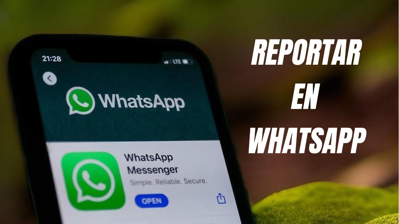 Reportar en Whatsapp: Que es y que significa